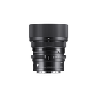 35mm F2 DG DN